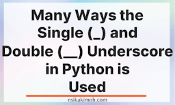 A blank image with the text Many Ways the Single (_) and Double (__) Underscore in Python is Used